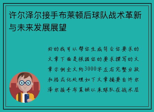 许尔泽尔接手布莱顿后球队战术革新与未来发展展望